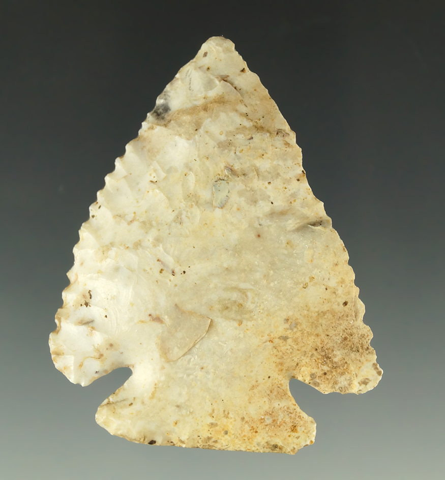 Found by Perino! 2 3/8" Neuberger - found in Calhoun County Illinois by Gregory Perino.