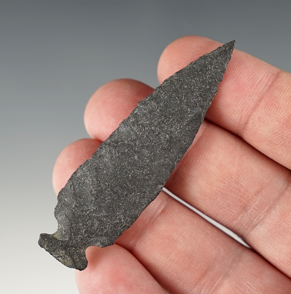 2 9/16" Side Notched Arrowhead found in Benton Co., Washington.