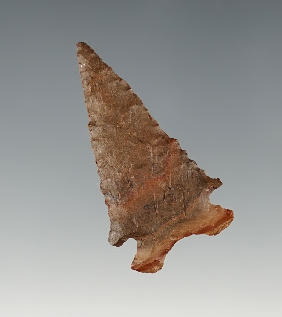 1 1/2" Merrybell III found by Mary Hill in Klickitat Co., Washington. Colorful and well made example