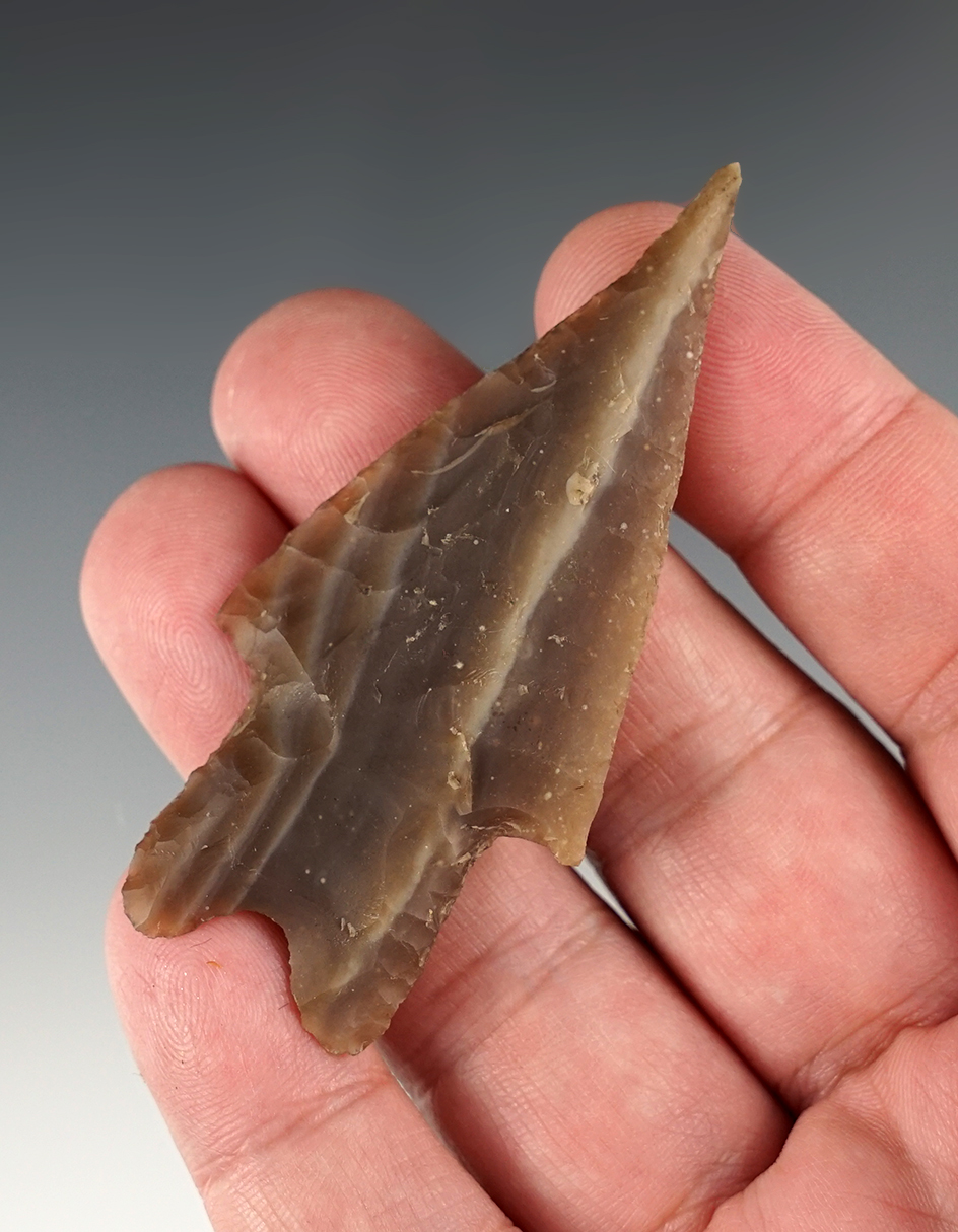 Fine 2 13/16" Pedernales found in Central Texas. Comes with a Rogers COA.