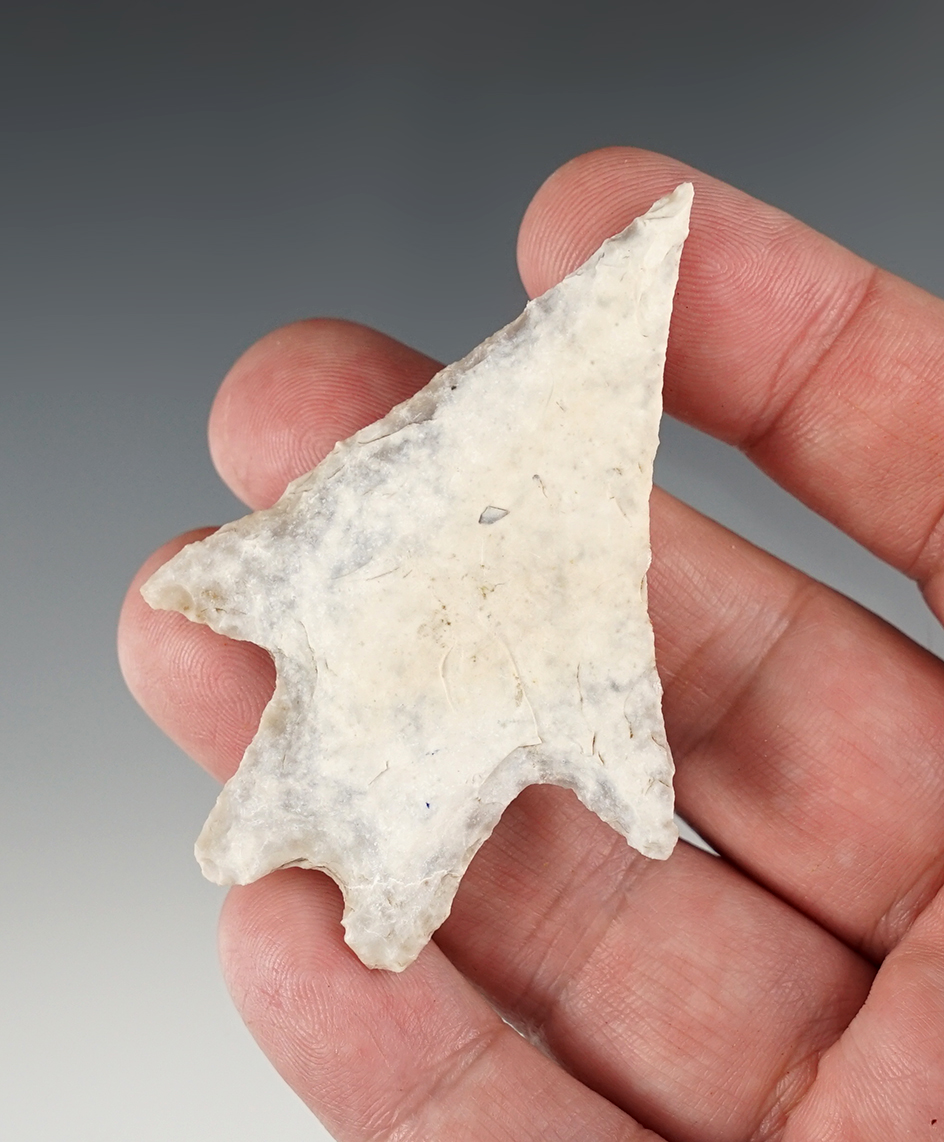 Exceptional 2 11/16"Pedernales found in Williamson Co., Texas. Ex. Bill Arnold. Rogers COA.