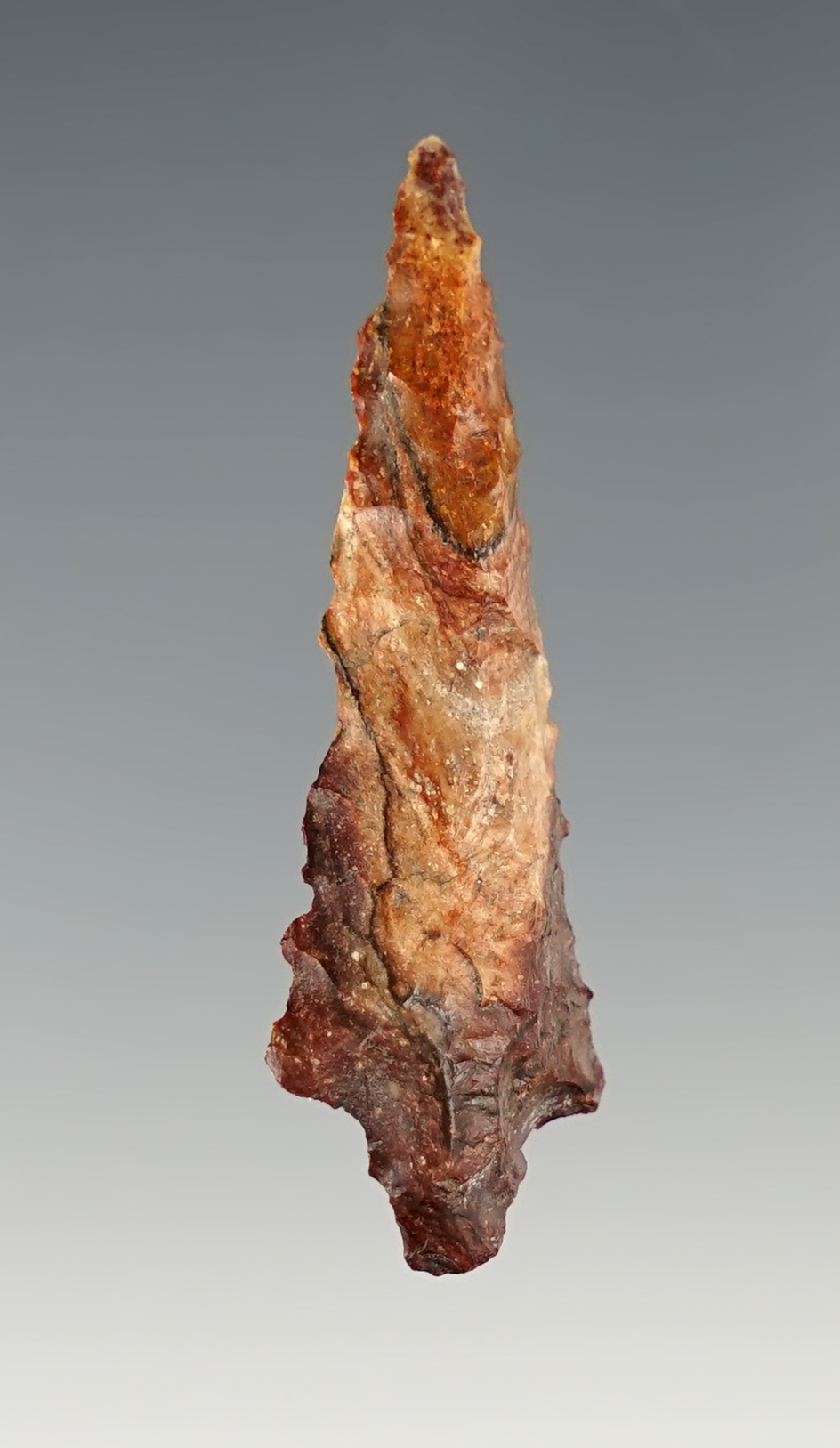 Nicely made 1 13/16" Rabbit Island found in Whitman Co., Washington.