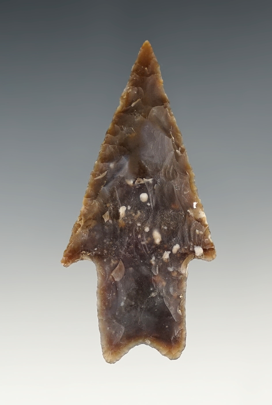 Nice 2 3/4" Texas Pedernales. Comes with a Bennett COA.