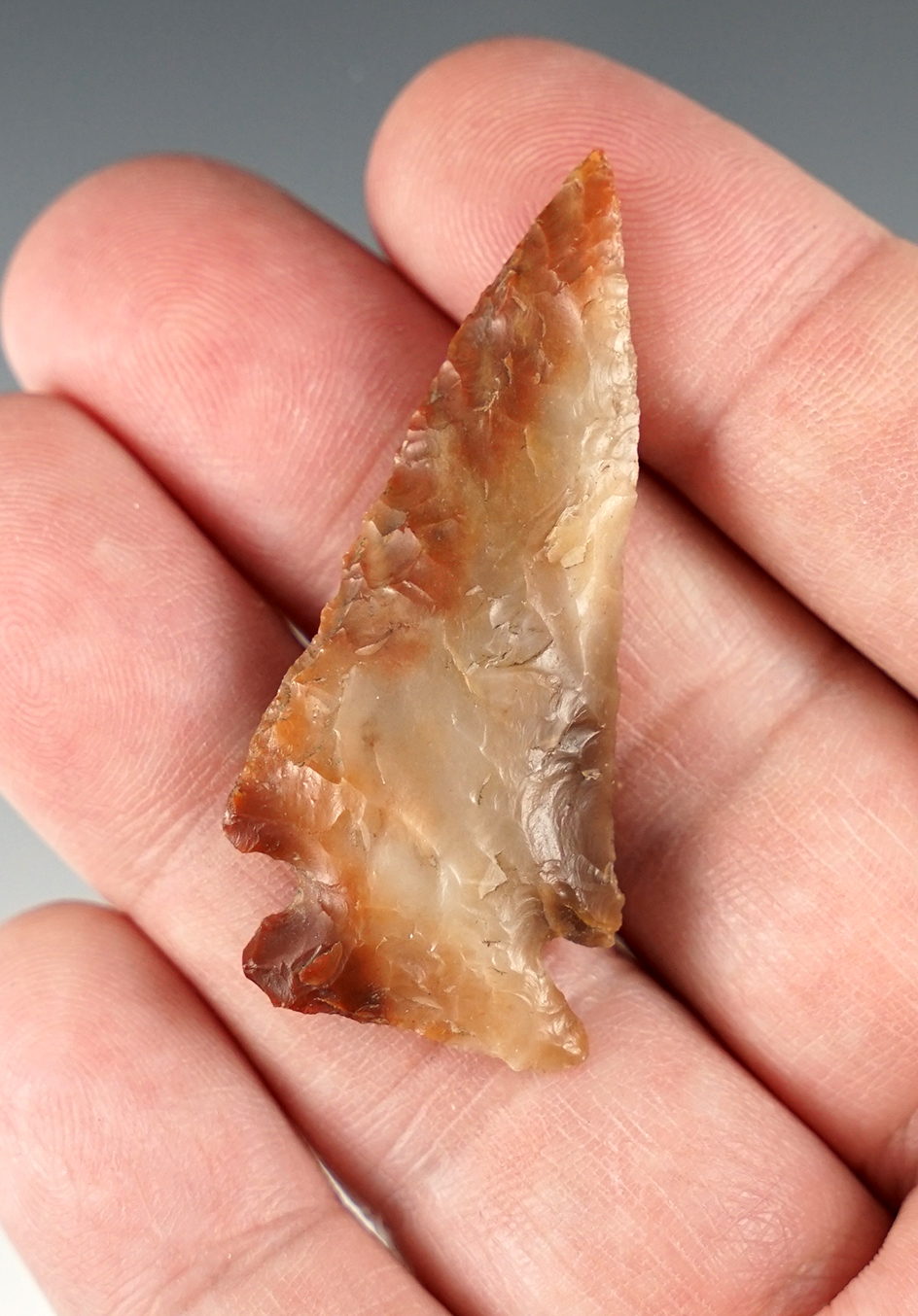 Amazing material on this 2" Corner Notch found in Whitman Co., Washington.