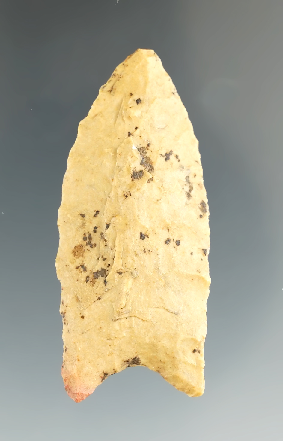 2 1/16" Dalton point made from Crowley's Ridge found in Arkansas.