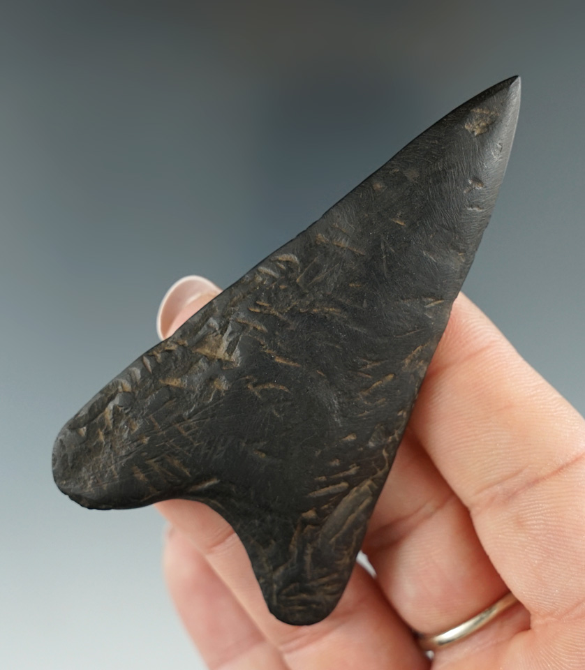 Very unique artifact! 3 1/16" ground slate spear/harpoon tip found in the northeastern U. S. COA.