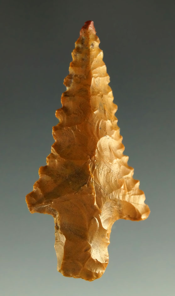 1 5/8" Stemmed point made from petrified wood found in Arizona.