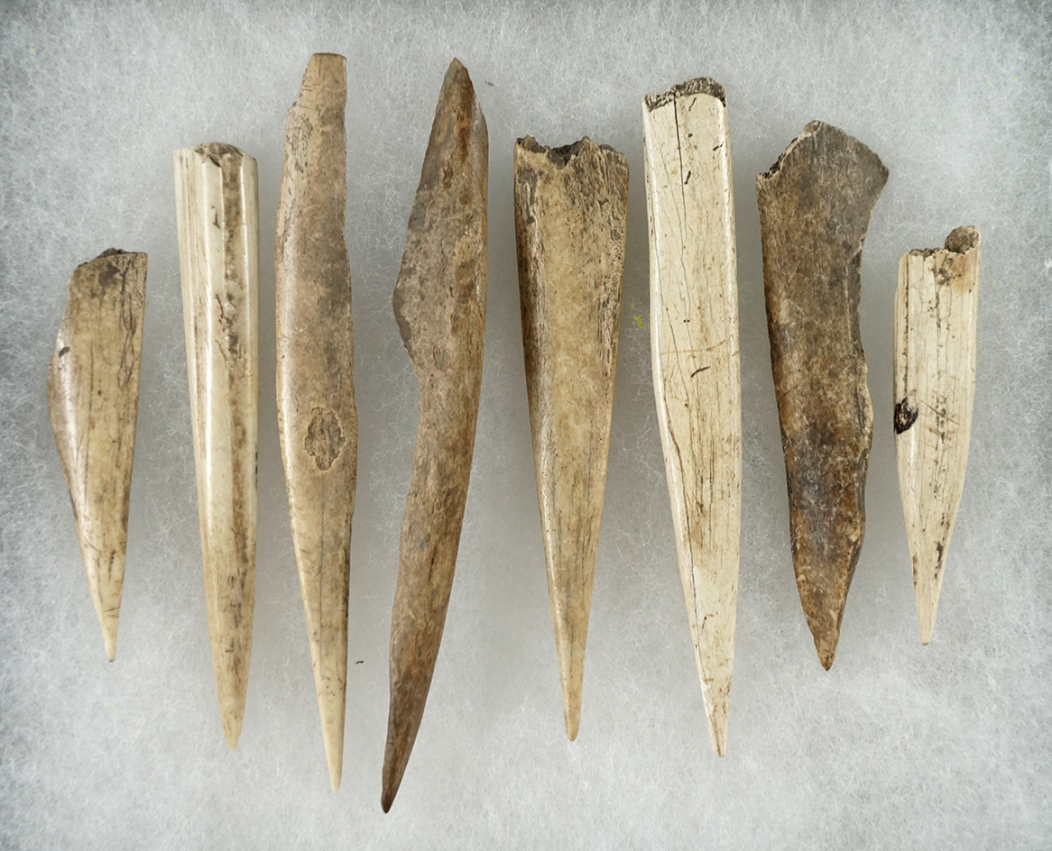 Set of eight bone awls from the 17th century found in NY. Largest is 4". Ex. Everett Goldsmith.
