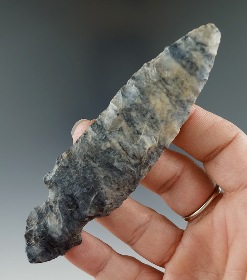 Uniquely styled 4 1/4" Coshocton Flint Adena Turkeytail found in Southern Michigan.