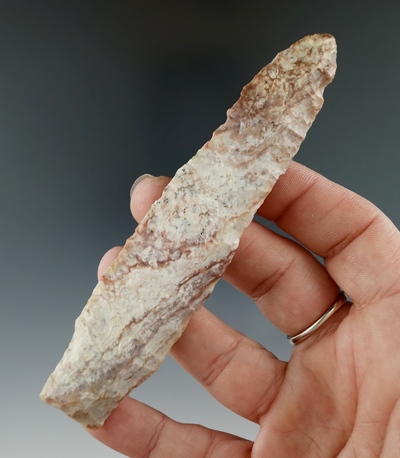 Sale highlight! 4 1/2" Paleo Eden - Yuma Co., Colorado. Made from bBeautiful Alibate. Jackson COA.