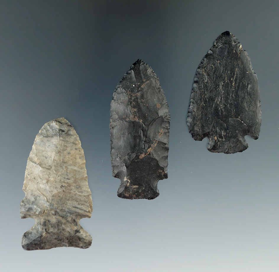 Set of three assorted arrowheads found in Michigan, largest is 2 5/16".