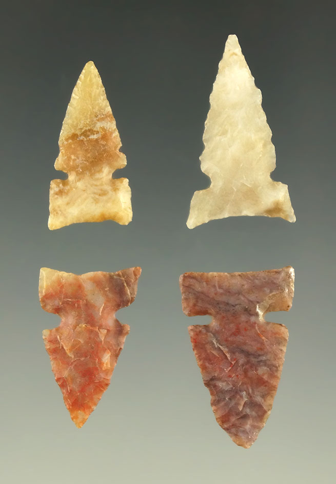 Set of four Plains Sidenotch arrowheads found in Kansas, largest is 1 1/16".