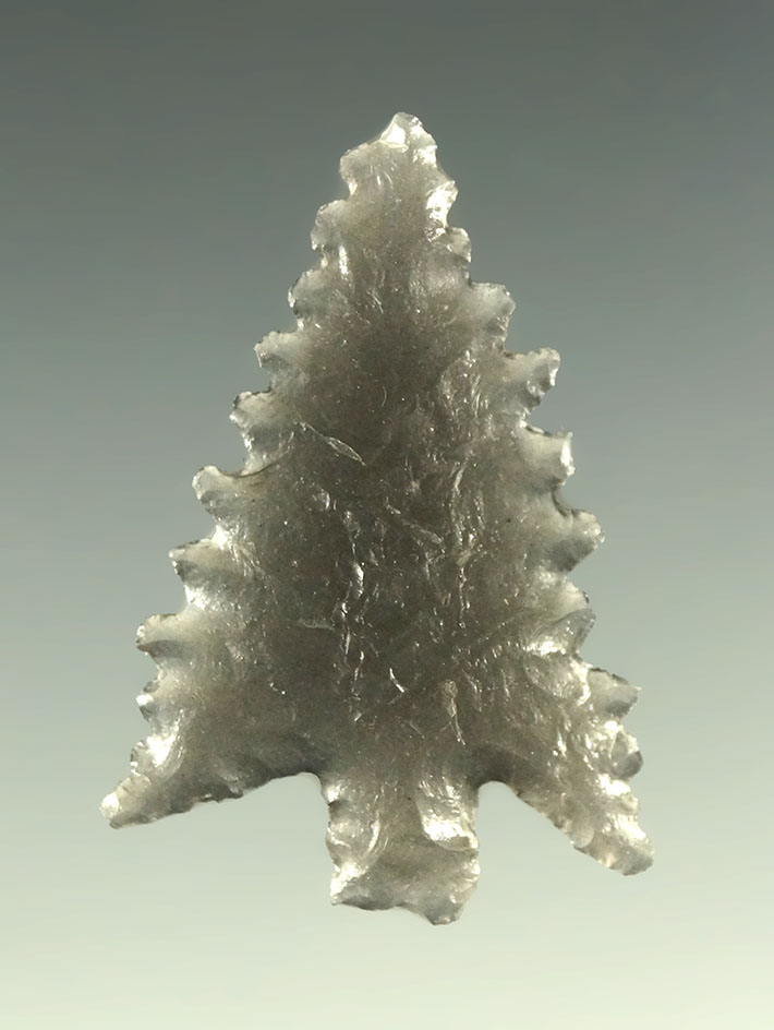 Incredible serrations! 1 1/8" translucent obsidian Calapooya found in northern California.