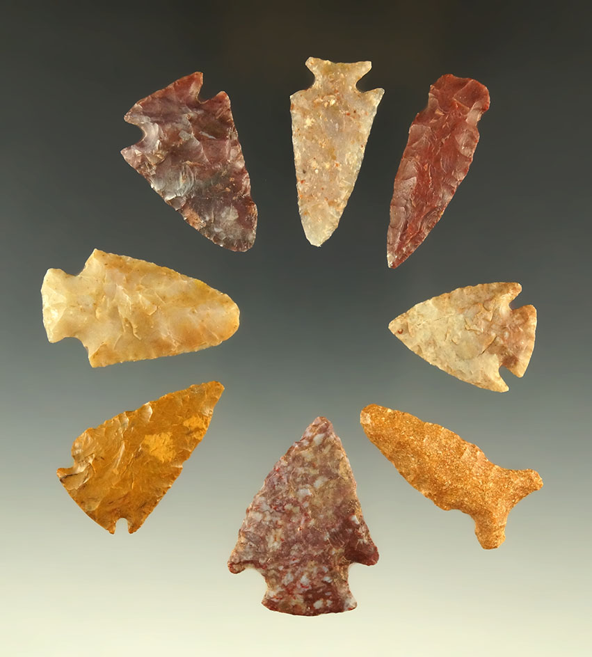 Group of eight nice arrowheads found in Kansas, largest is 1 1/2".