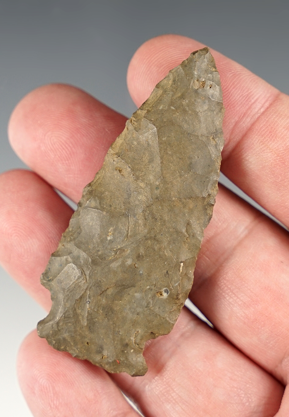 Nice 2 1/2" Side Notch point found in New Bedford, Massachusetts.