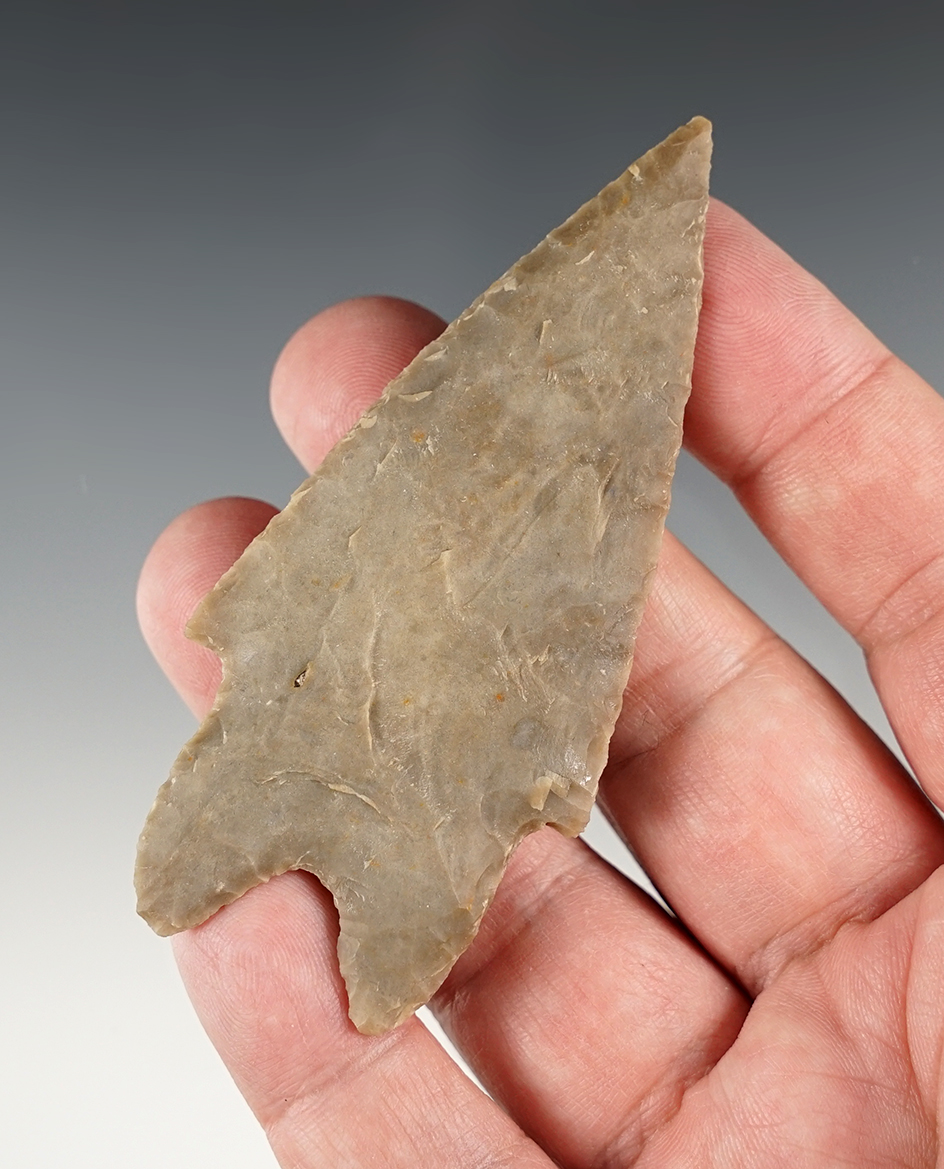 Exceptional 3 3/8" Pedernales found in Central Texas. Comes with a Rogers COA.