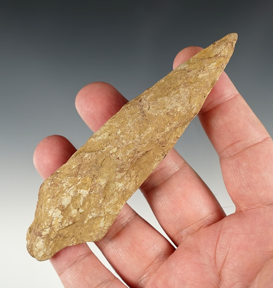 4 3/4" Schuykill point found in Burlington Co., New Jersey. Ex. Irv Daughtry.  Jackson COA.