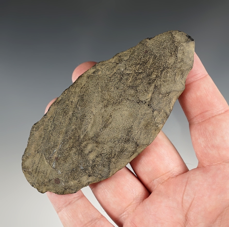 Well patinated 4 1/4" Blade found in New Jersey. Comes with an early collectors cardboard tag.