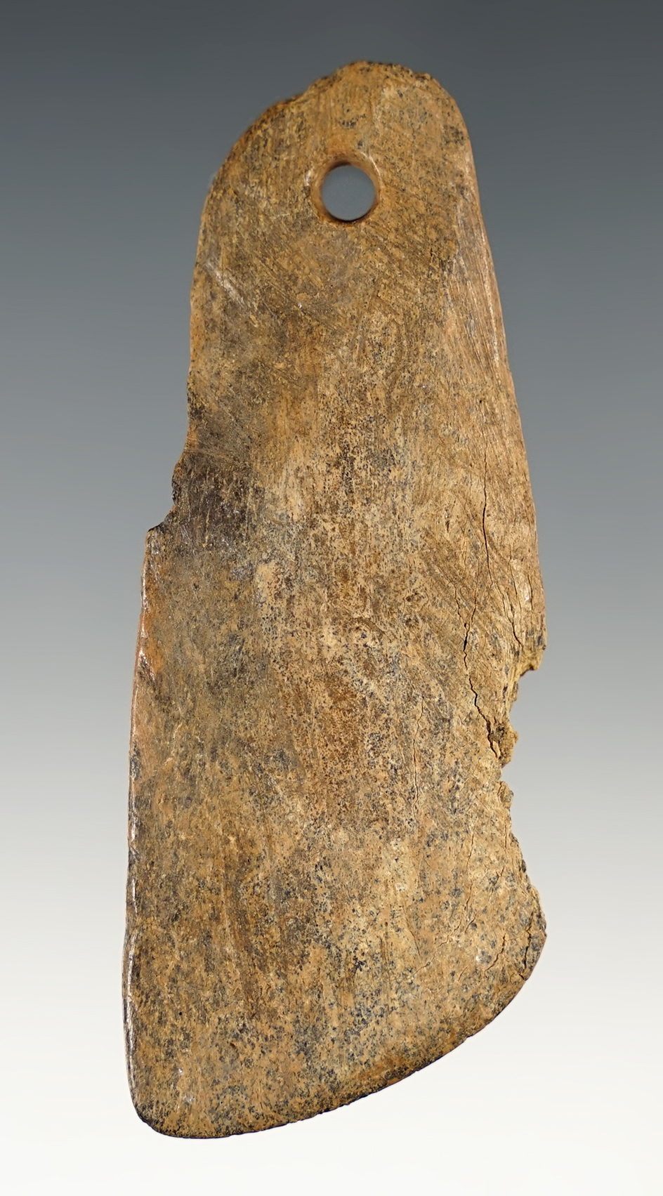 Unique 3 5/16" long Drilled Bone Pendant.Found close to the Palouse River in Whitman Co., WA.