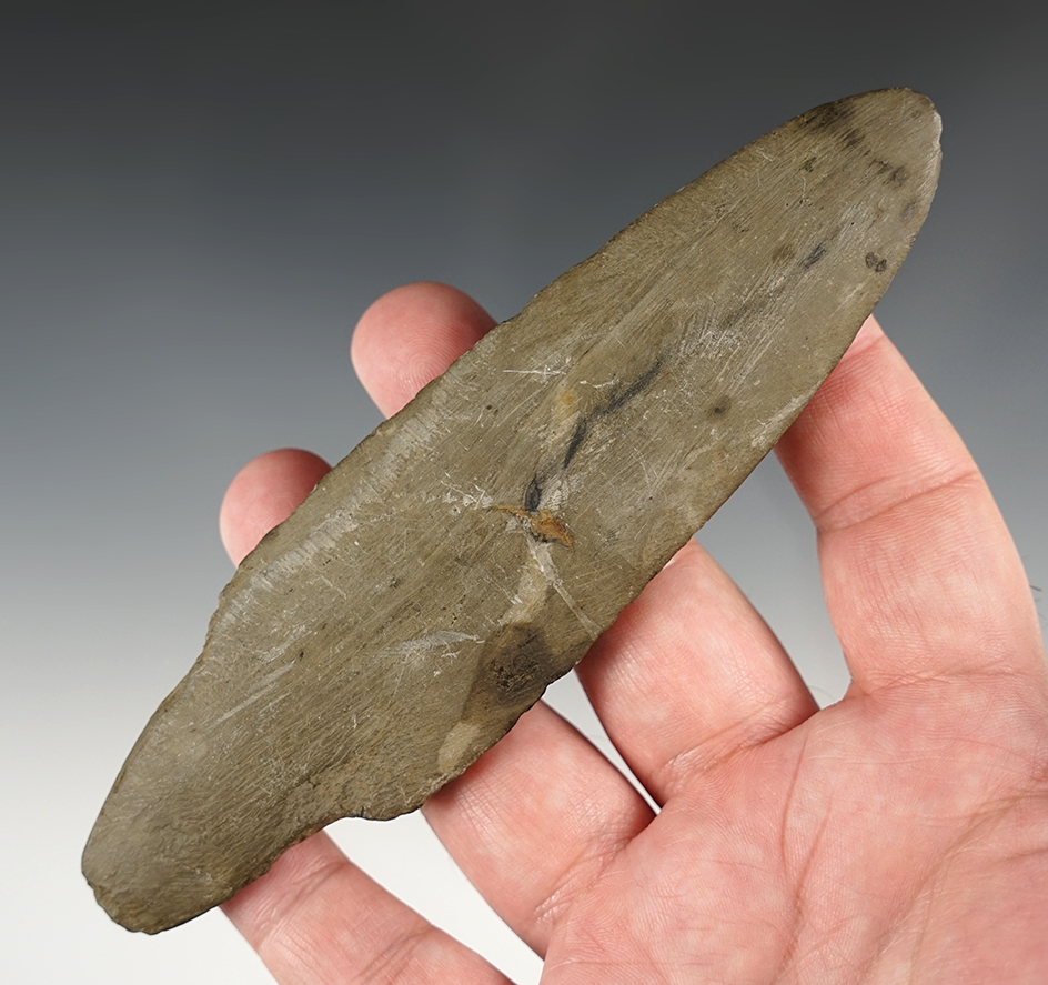 Rare 5 3/4" Spear made from Glacial Slate. Shows excellent age on the surface.  Eastern U.S.   COA.