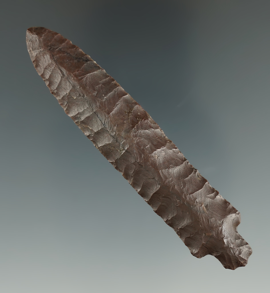 Exceptional! 3 7/16" Bear Point found at Point Barrow Alaska.  Comes with a Stermer COA.