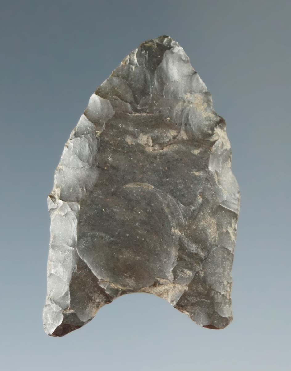 1 7/16" Fluted Paleo Clovis found in Michigan.