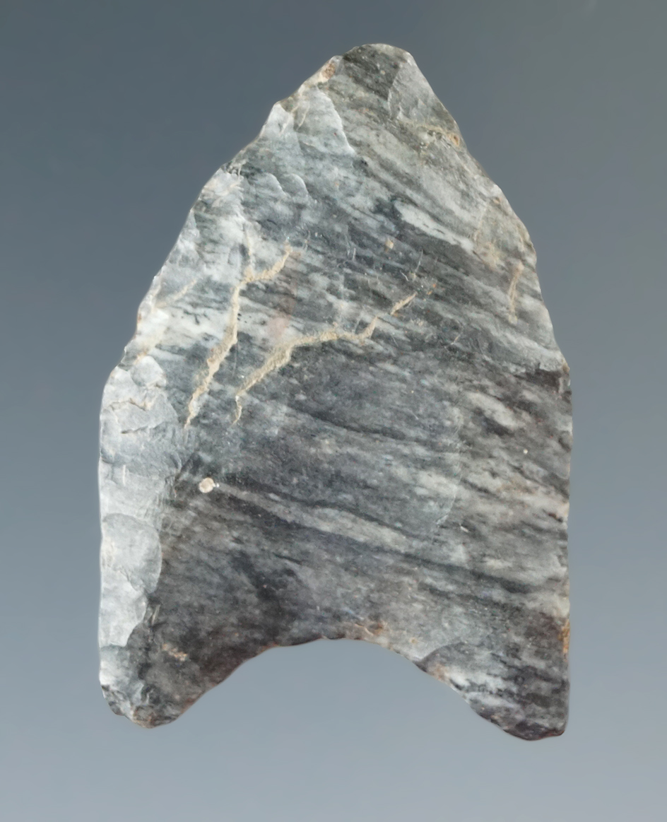 1 1/2" Fluted Paleo Clovis found in Michigan made from nicely striped Coshocton Flint.