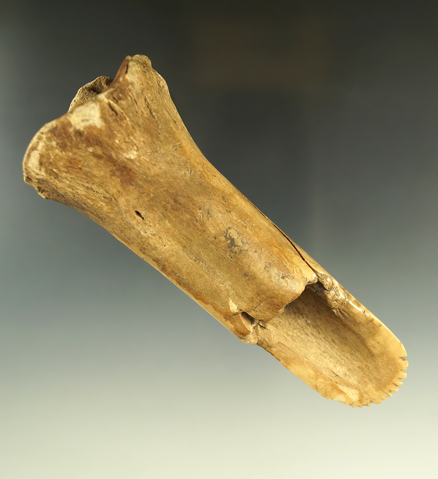 5 1/2" nicely styled bone chisel/scraper with nice serrations to bit area. Ex. Lewis Eulert collecti