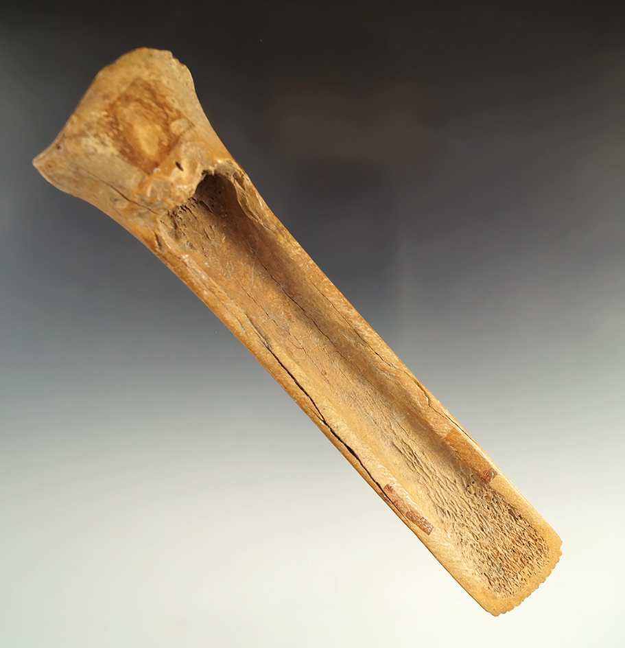 7 3/8" Bone Gouge with a nicely serrated bit. Found in the High Plains region. Ex. Lewis Eulert.