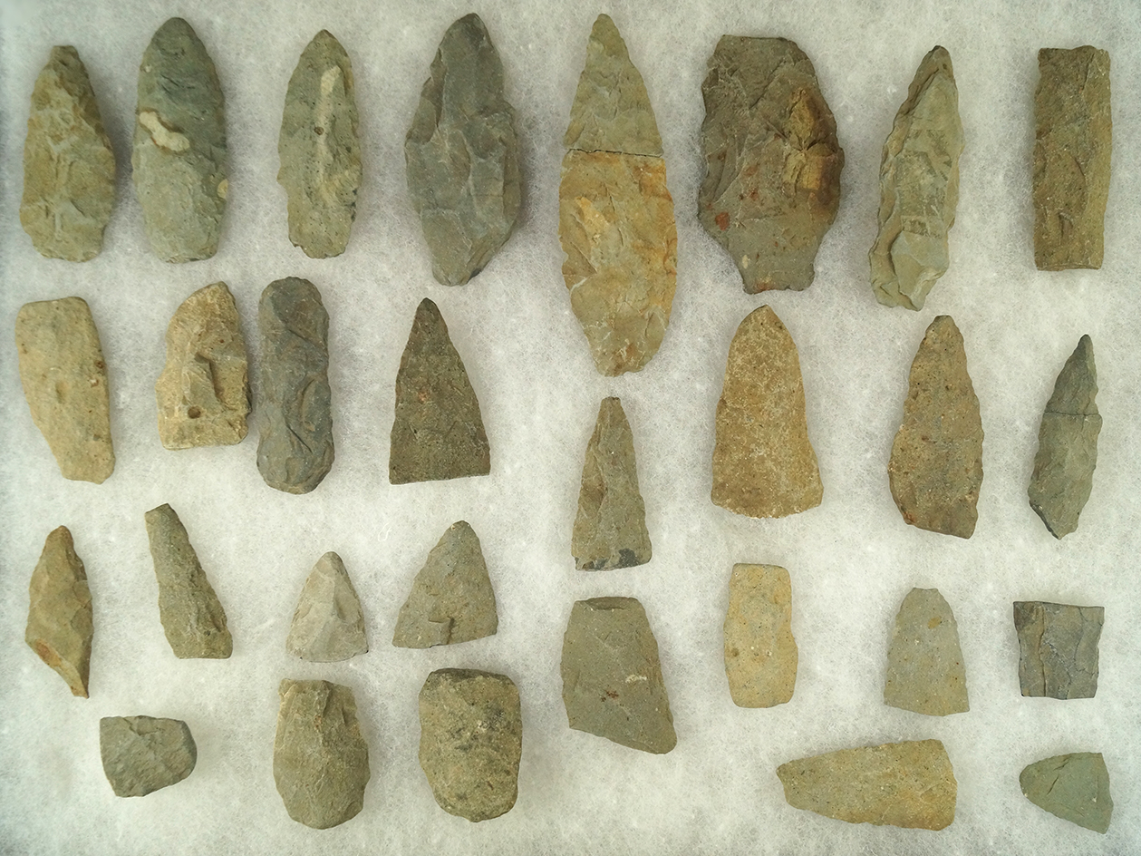 Large cache of assorted Late Paleo Argillite points found west of Monroe, Michigan. Pictured!