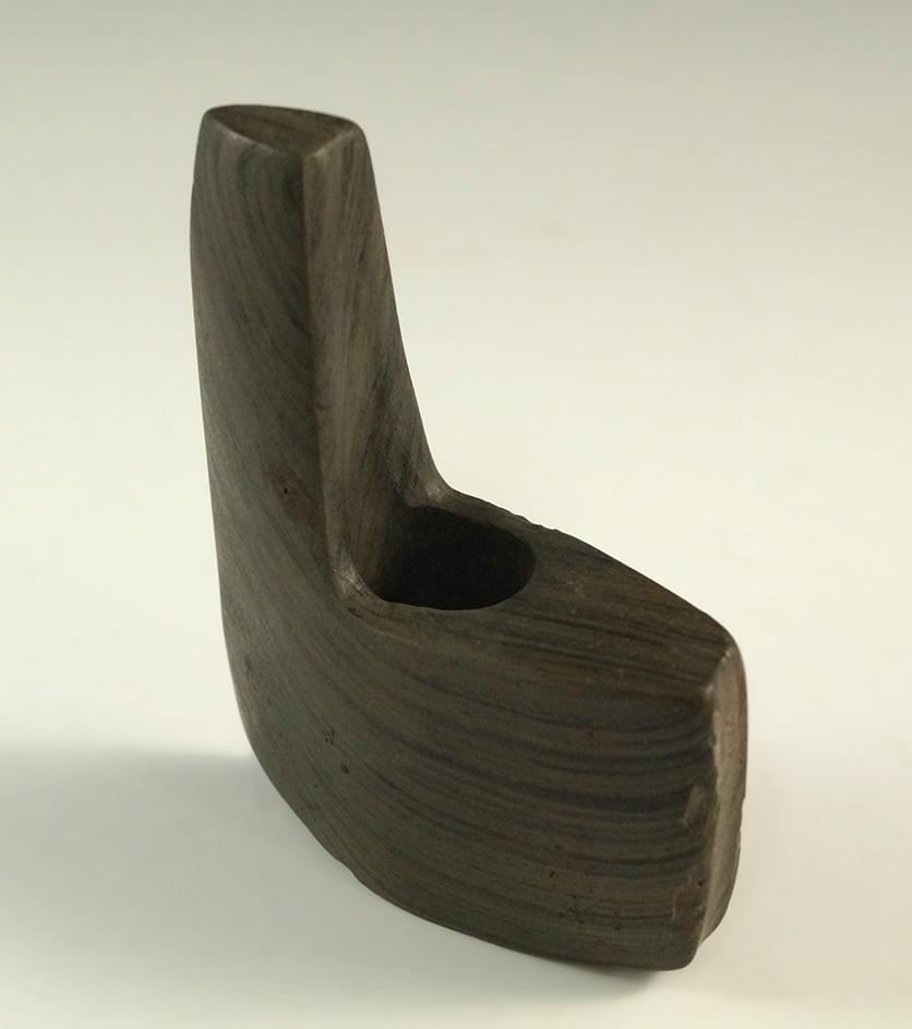 Nicely restored 3 1/2" banded slate Geniculate found in Ohio. Comes with a Bennett COA.