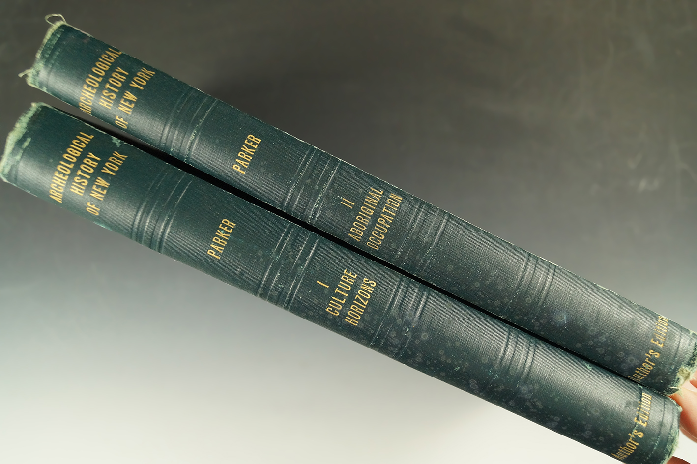 Rare book set - Limited ed. only 200! Authors edition hardbound "Archaeological History of NY".