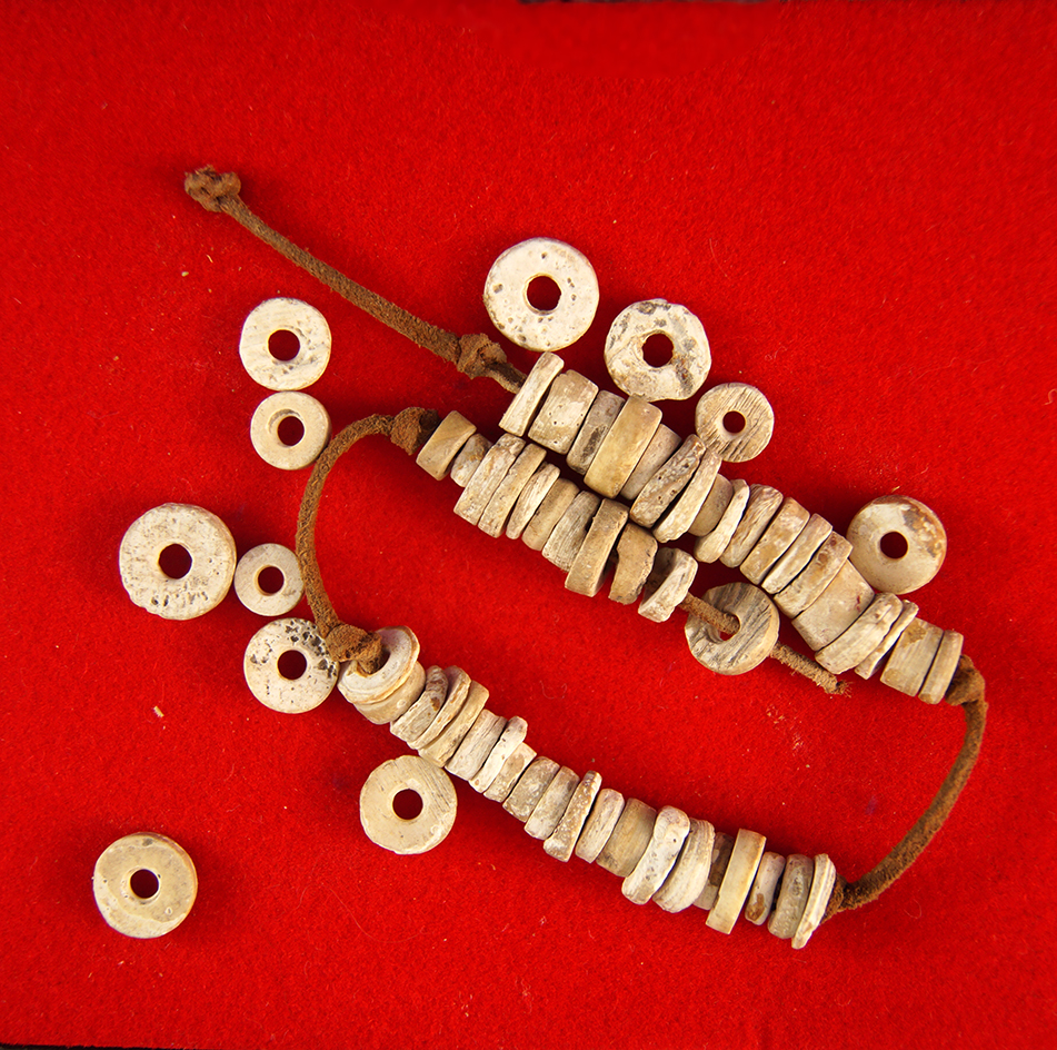 Strand of drilled shell beads found that is site in Kentucky.