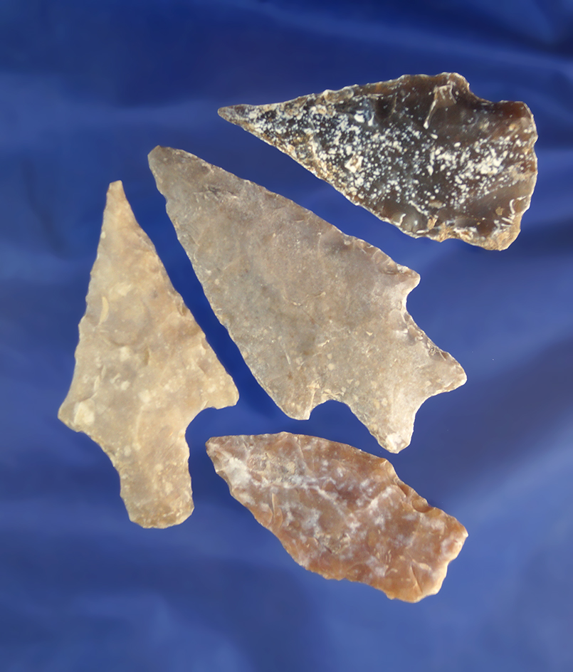 Set of four Texas arrowheads, largest is 2 3/4".
