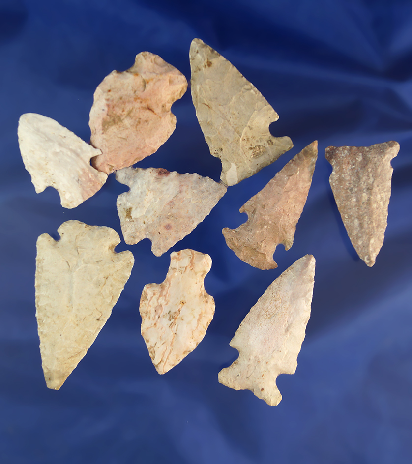 10 assorted Midwestern arrowheads, largest is 2 3/16". Found in the Marshall/Peoria counties Illinoi