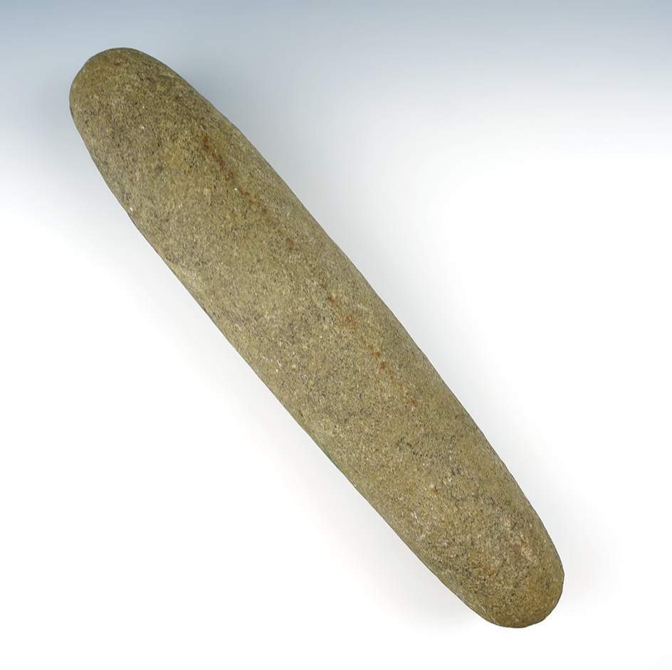 Very large and nicely formed 12 1/2" Roller Pestle found in Maryland.