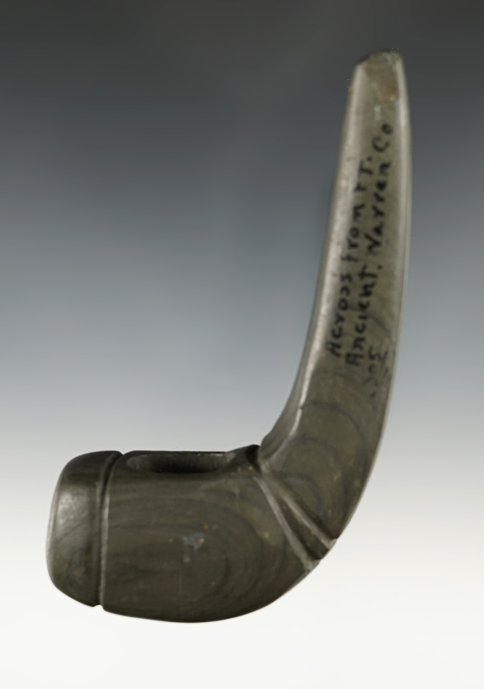 4 9/16" Geniculate found across from Ft. Ancient, Warren Co., Ohio. Restoration to bottom