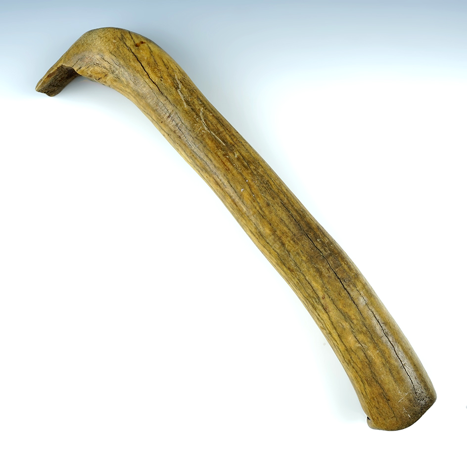 Heavily patinated 13 1/2" Elk Horn Scraper found in the Dakotas.