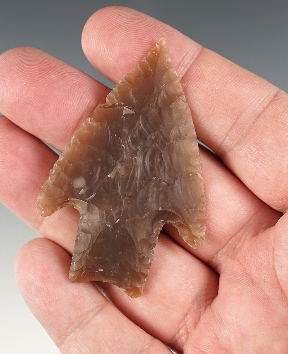 Outstanding 2 7/16" Pedernales found in Bandera Co., Texas. Beautiful flaking. Arnold COA.