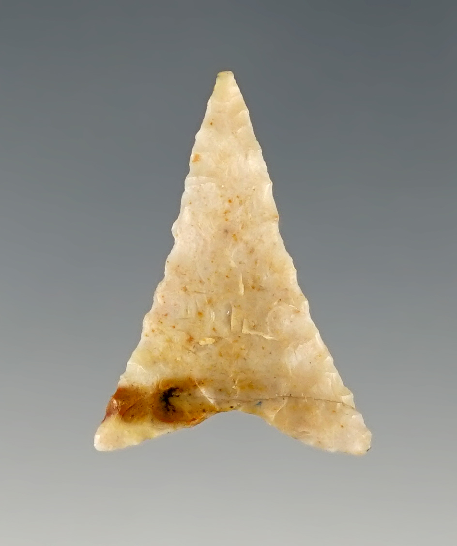 1" Starr point found in Texas. Ex. Charles Shewey and Museum of Native American History.