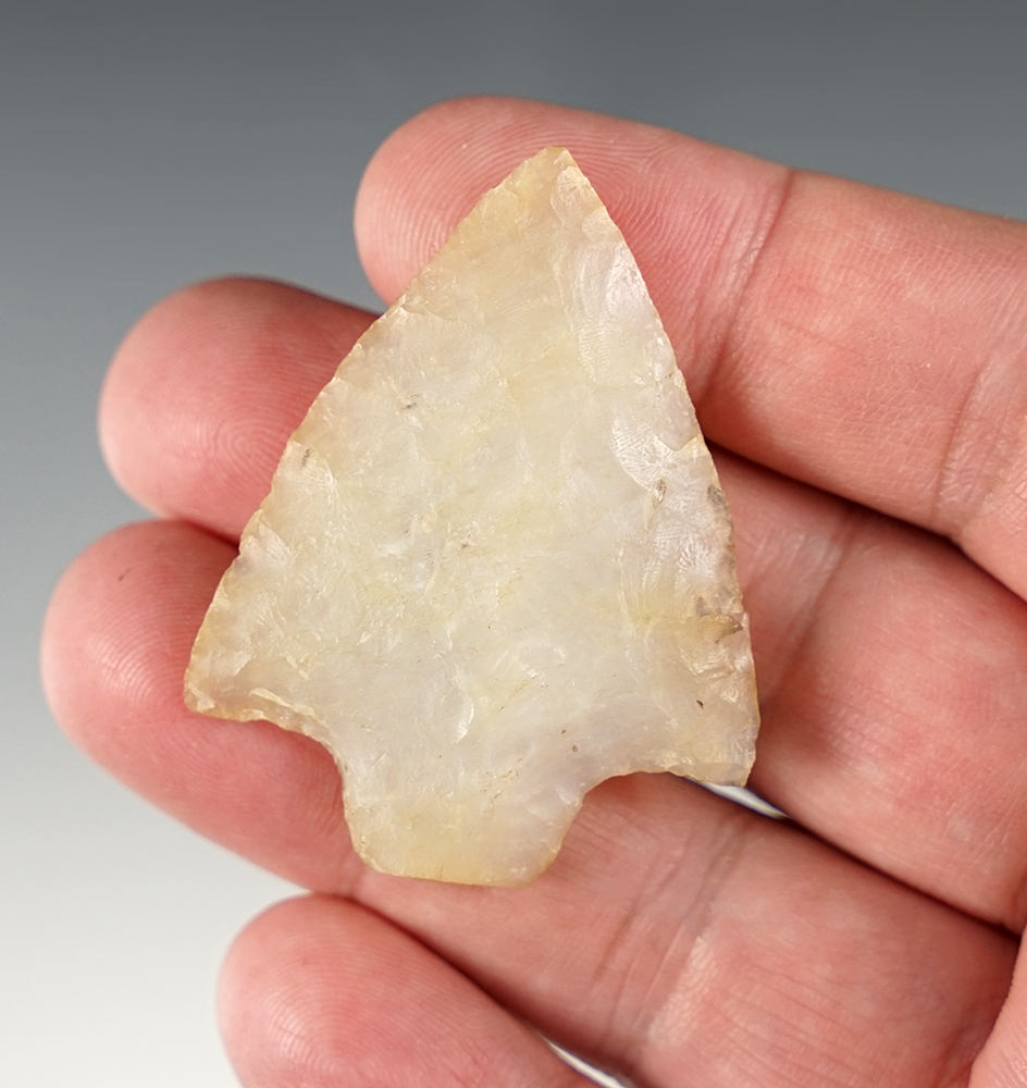 Nice 1 15/16" translucent Marion found in Pasco Co., Florida.