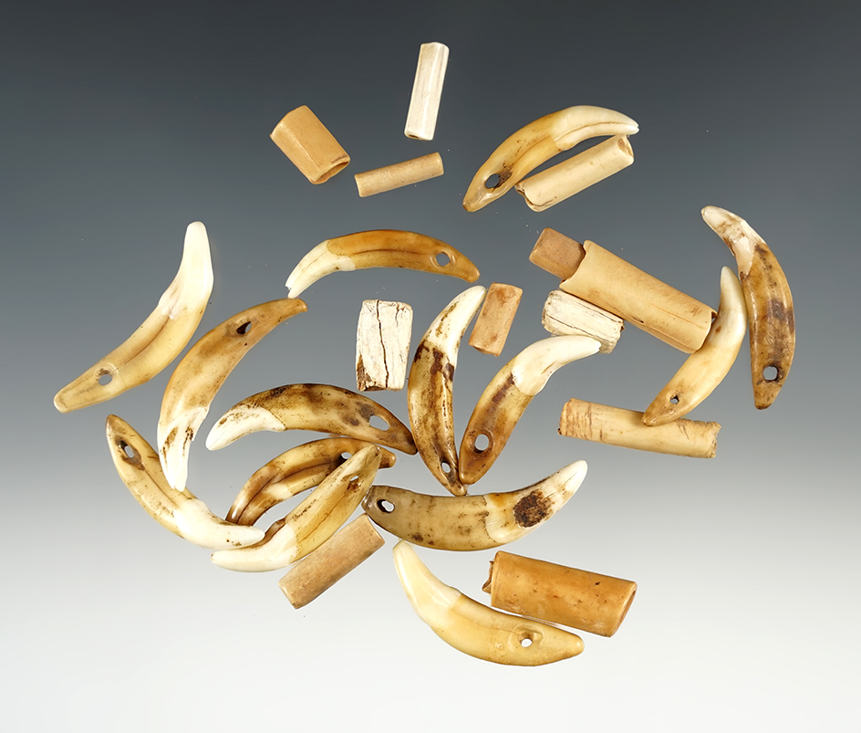 Set of 27 Bone Beads and drilled Canine Teeth found in Kentucky. The largest is 1 7/16".