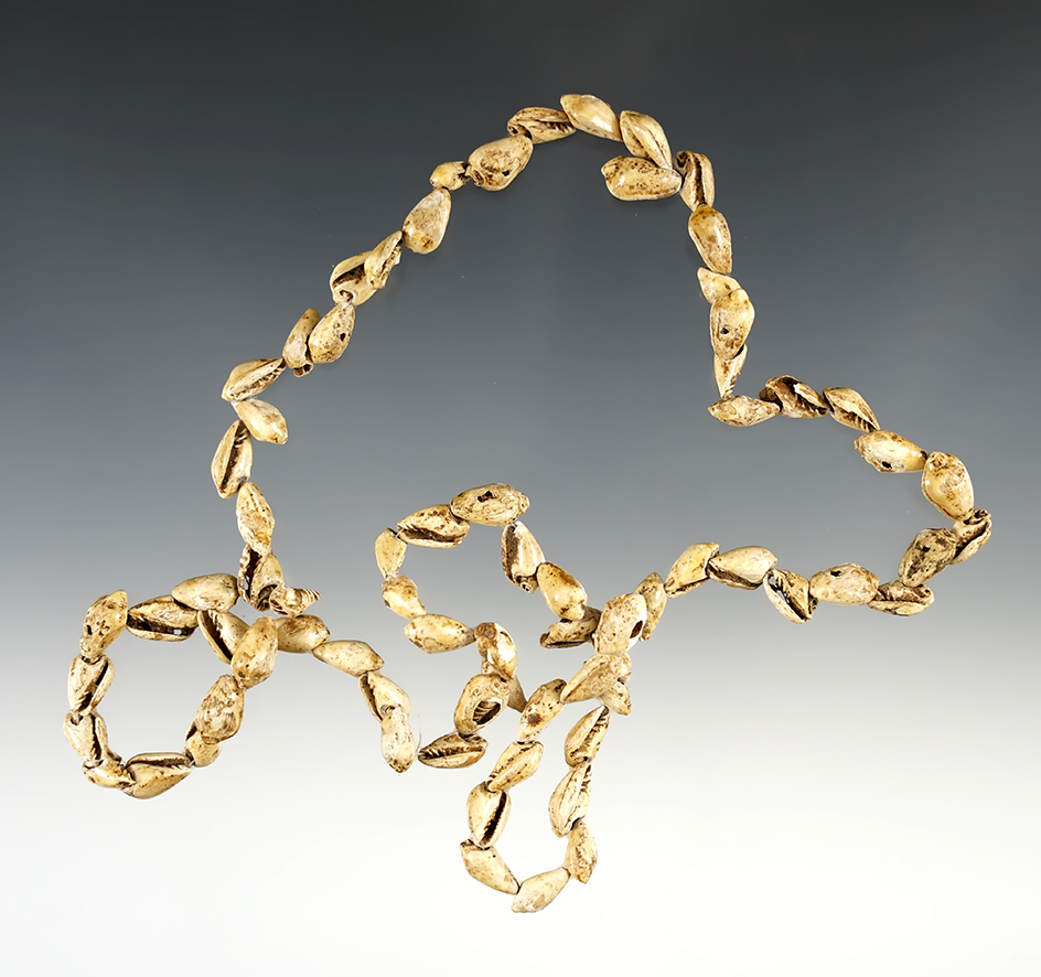 21 1/2" Strand of Shell Beads found in Kentucky.