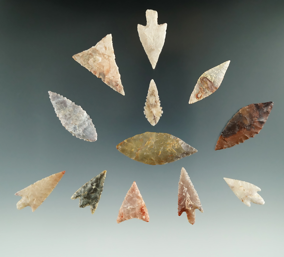 Set of 12 assorted African Neolithic arrowheads found in the northern it Sahara desert region.