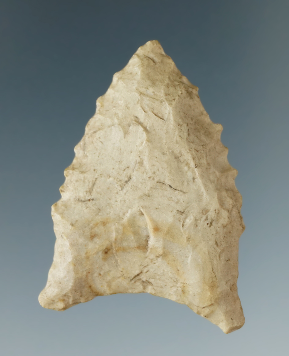 1 5/8" Hardaway found  in Beaufort Co., South Carolina. Comes with a Rogers COA.