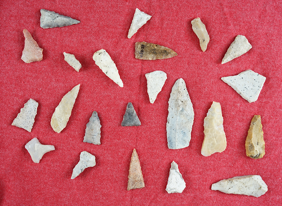 Group of 22 assorted points and microliths found in the Nature Coast area, Citrus Co., Florida.