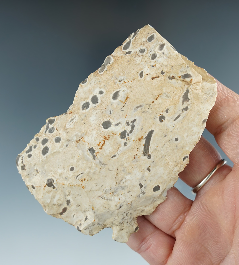 Ex. Perino! 3 1/2" Corner Tang Knife section found by Dorothy Perino, wife of Gregory Perino