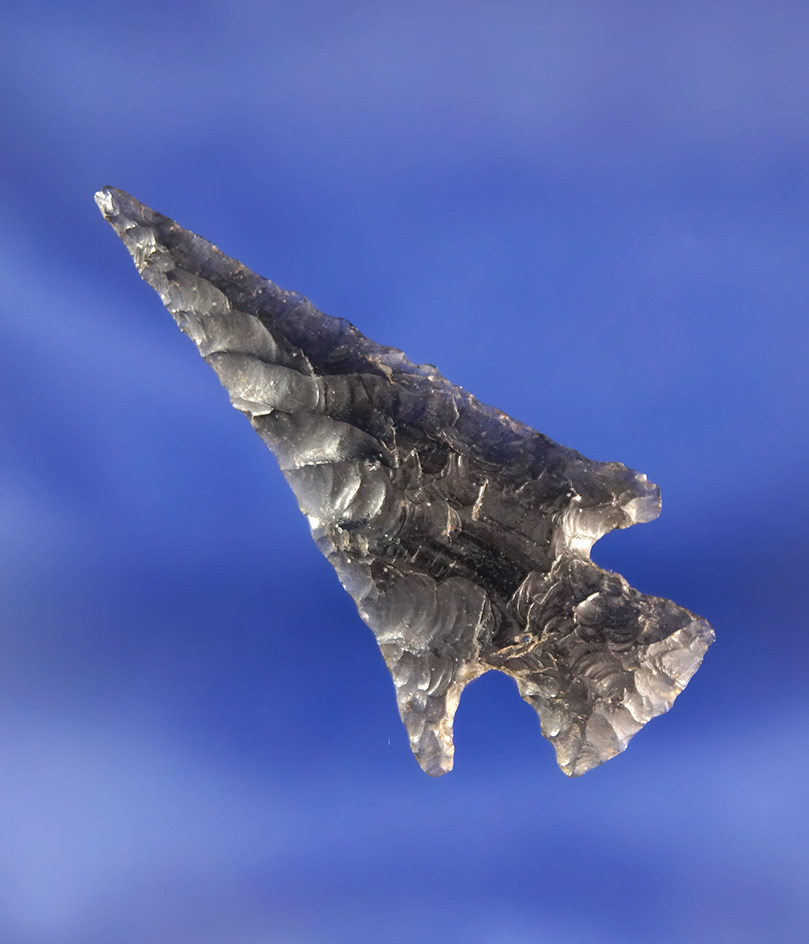 Excellent flaking and style on this Obsidian 1 5/8" Rose Springs found in Modoc County California.