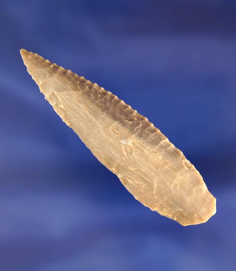 Very nicely flaked 2 5/8" Petrified Wood Knife with excellent edge serrations, Washington.
