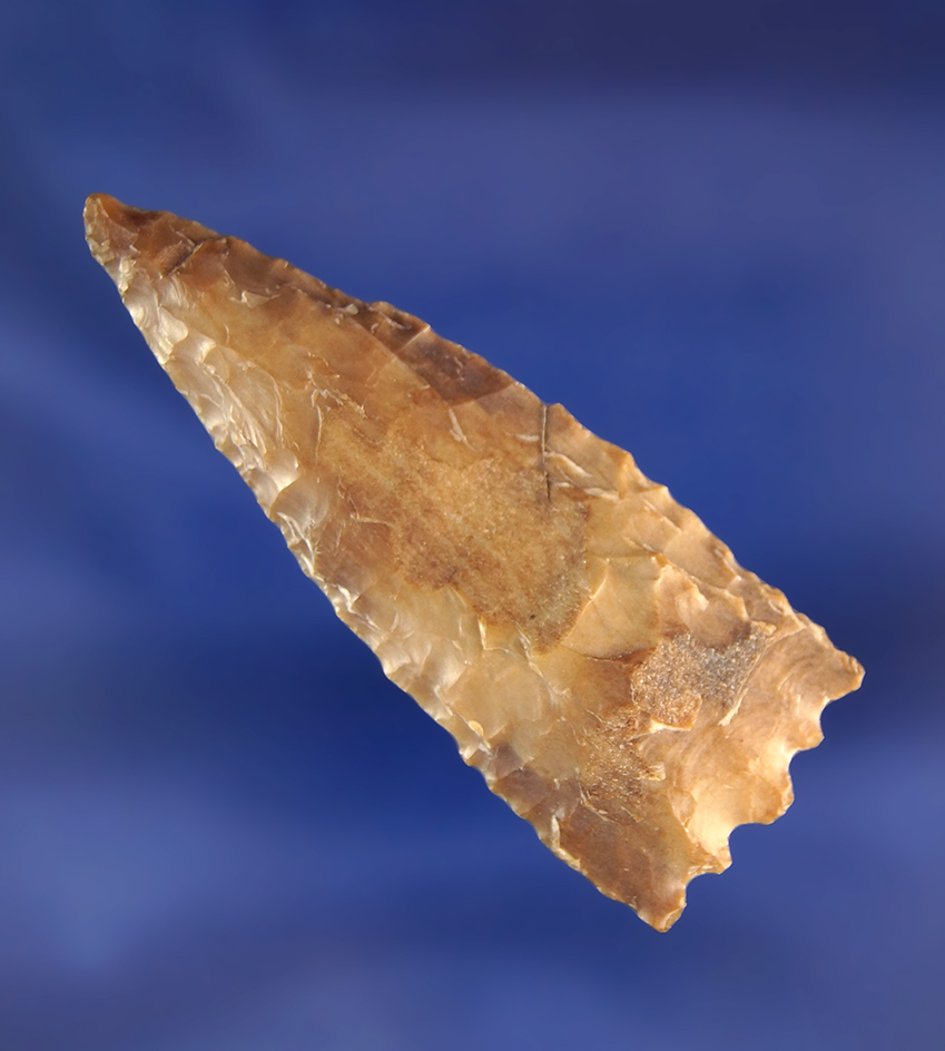 Very unique Basal serrations on this 2 1/4" Petrified Wood Knife - Washington. Ex. D. Baker.